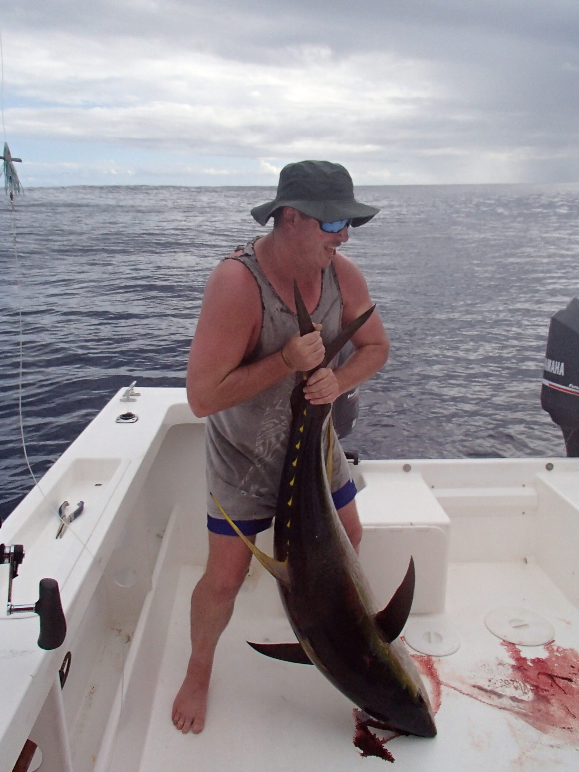 Yellowfin Tuna fishing, Makaira Sports Fishing